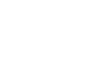 This image is completely blank with a white background, containing no discernible objects, text, or features.