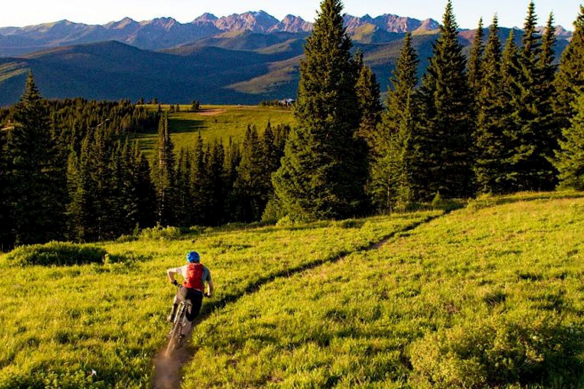 A cyclist in a blue helmet rides through a grassy meadow surrounded by tall trees, with mountains visible in the background ending the sentence.