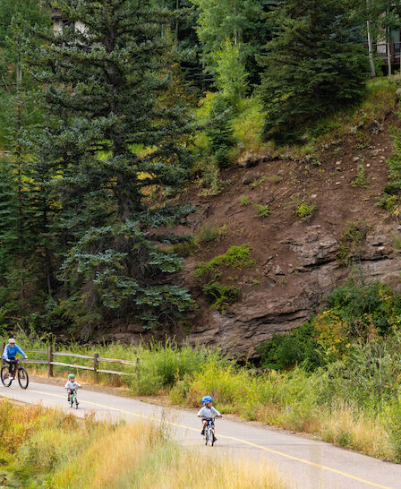 A group of people biking on a winding trail through a forested hillside, with pine trees, grassy edges, and a dirt slope in the background, enjoying a sunny day.
