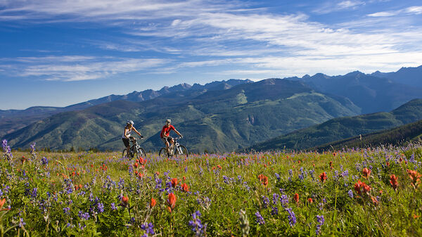 Two people are riding mountain bikes through a colorful wildflower field with a scenic mountain range in the background under a blue sky.